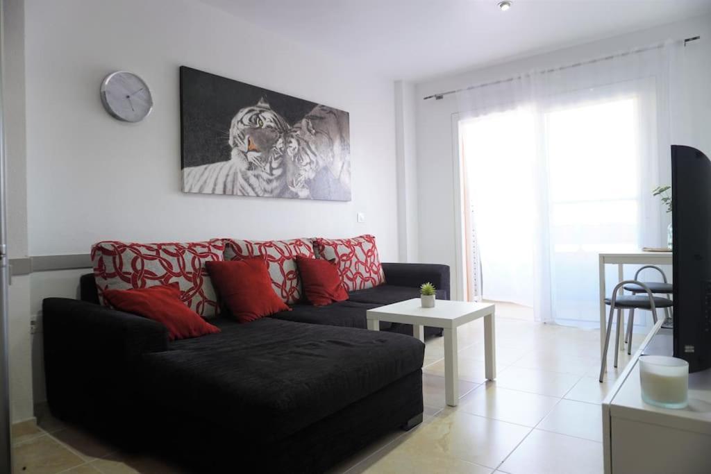 Apartment South Coast *