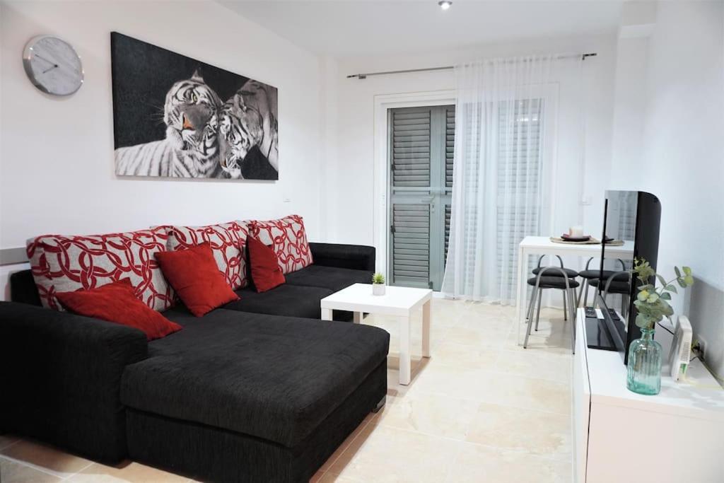 South Coast Apartment